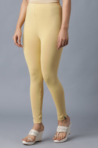 Brown solid tights